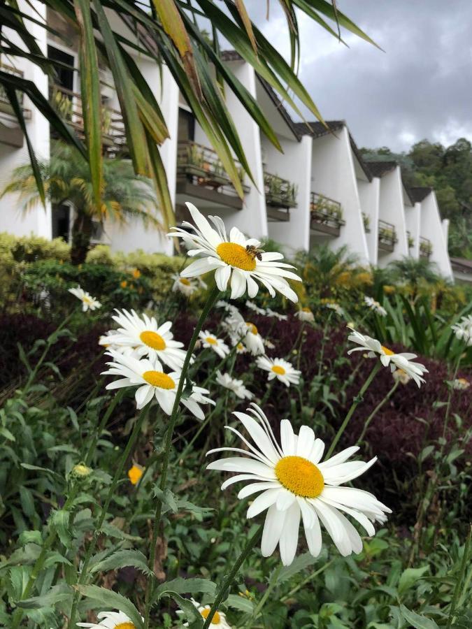 Hotel Ladera Boquete Exterior foto